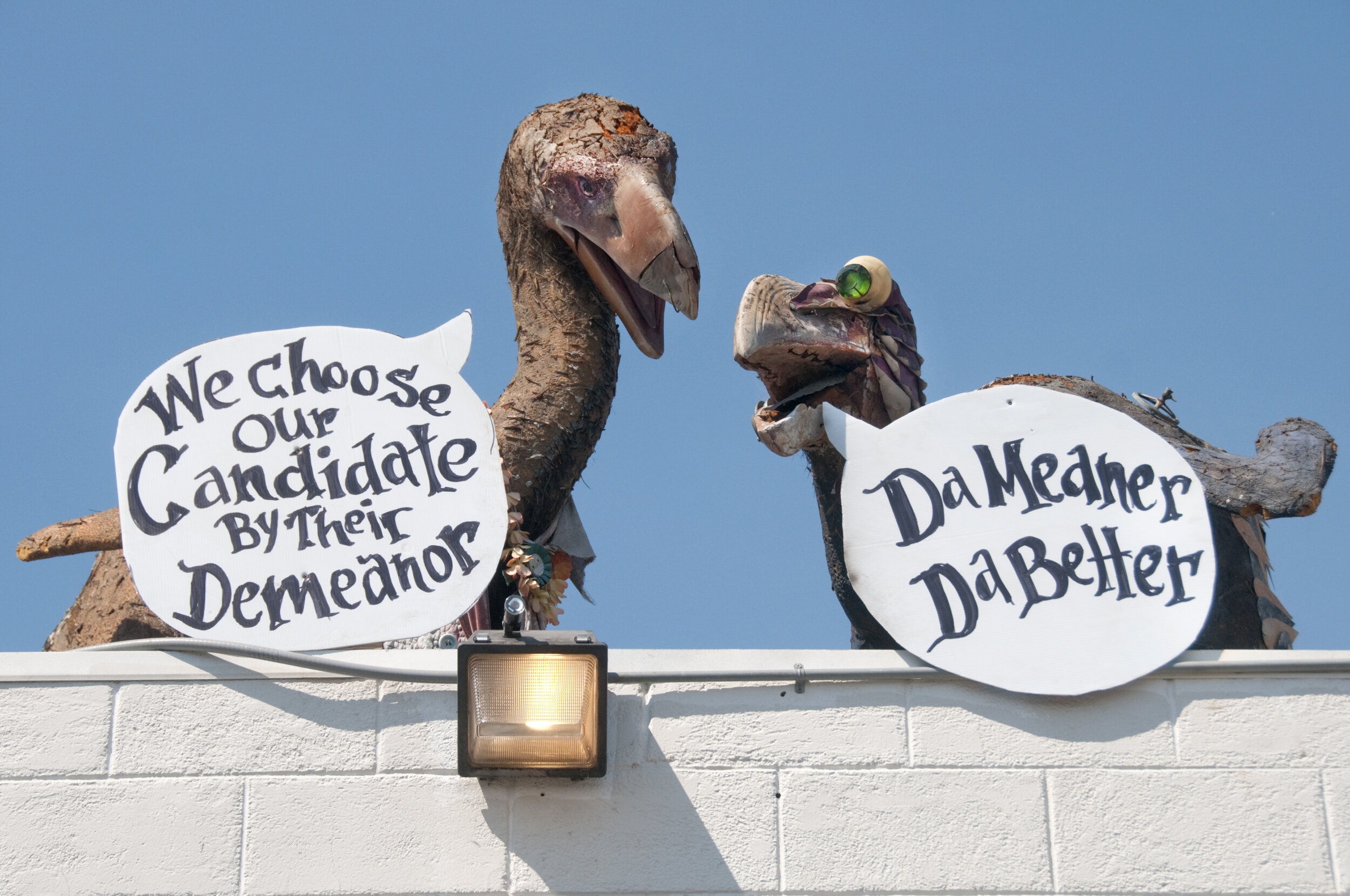 Dodo Wisdom — Obtainium Works